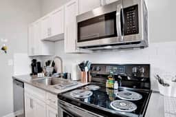 Beautiful 1 BR Renovated Apt in downtown