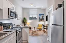 Beautiful 1 BR Renovated Apt in downtown
