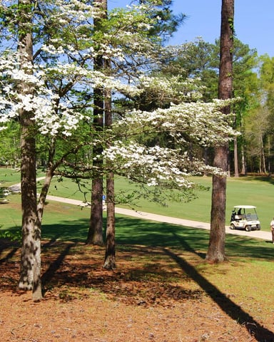 Golfers on the course at Oak Mountain State Park with dogwoods in bloom