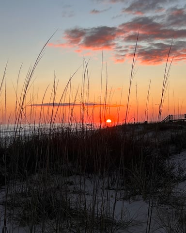 Sea oats on the dunes at sunset in Fort Morgan